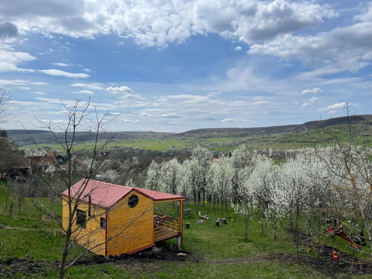 Tiny Heaven Chidea - Housity