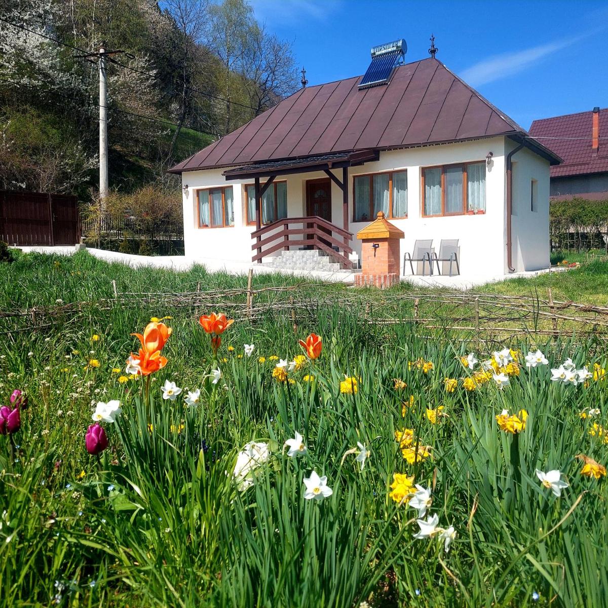 La numărul 100, Nămăești - Housity