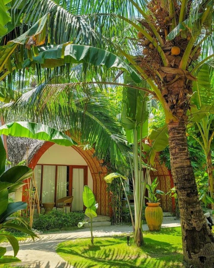 Tropical Temple Siargao Resort - Housity