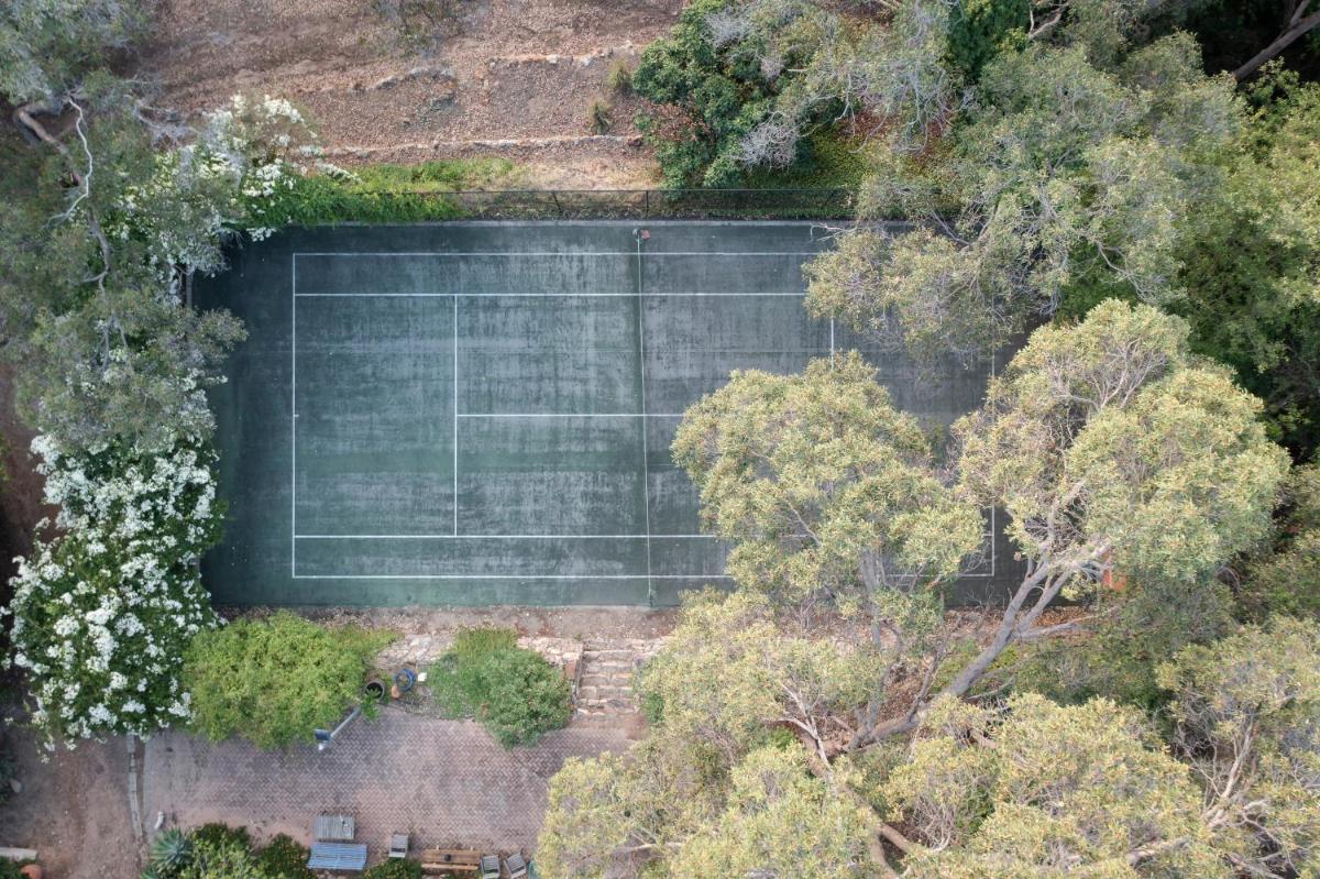 A Paradise for Dogs and A Magical Retreat for Hoomans - Housity