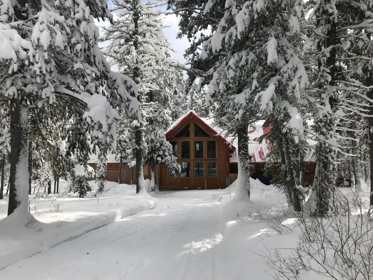Lodgepole Lookout by KABINO Hot Tub Garage Foosball Fire Pit Theater Room U-Shaped Driveway - Housity