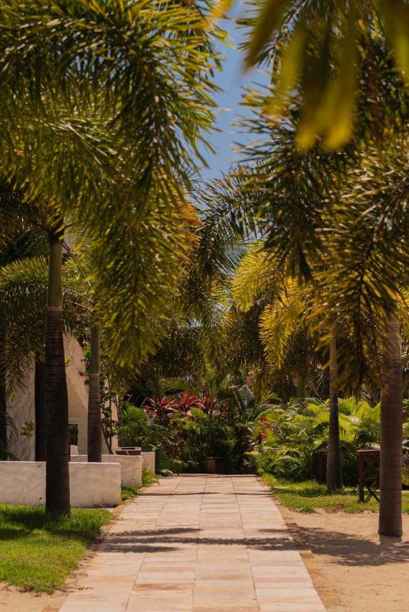 Moriá Eco Lodge - Housity