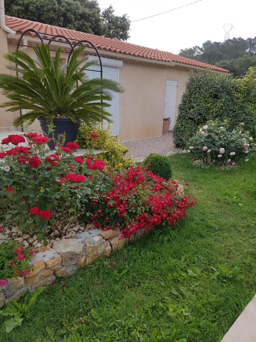 Petite pause à la campagne - Housity