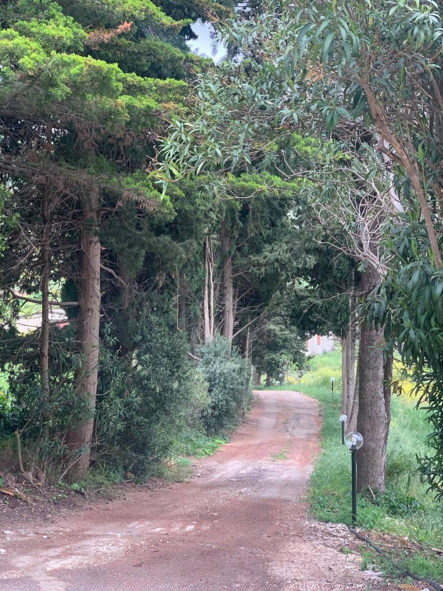 Azienda agricola La Torre - Housity