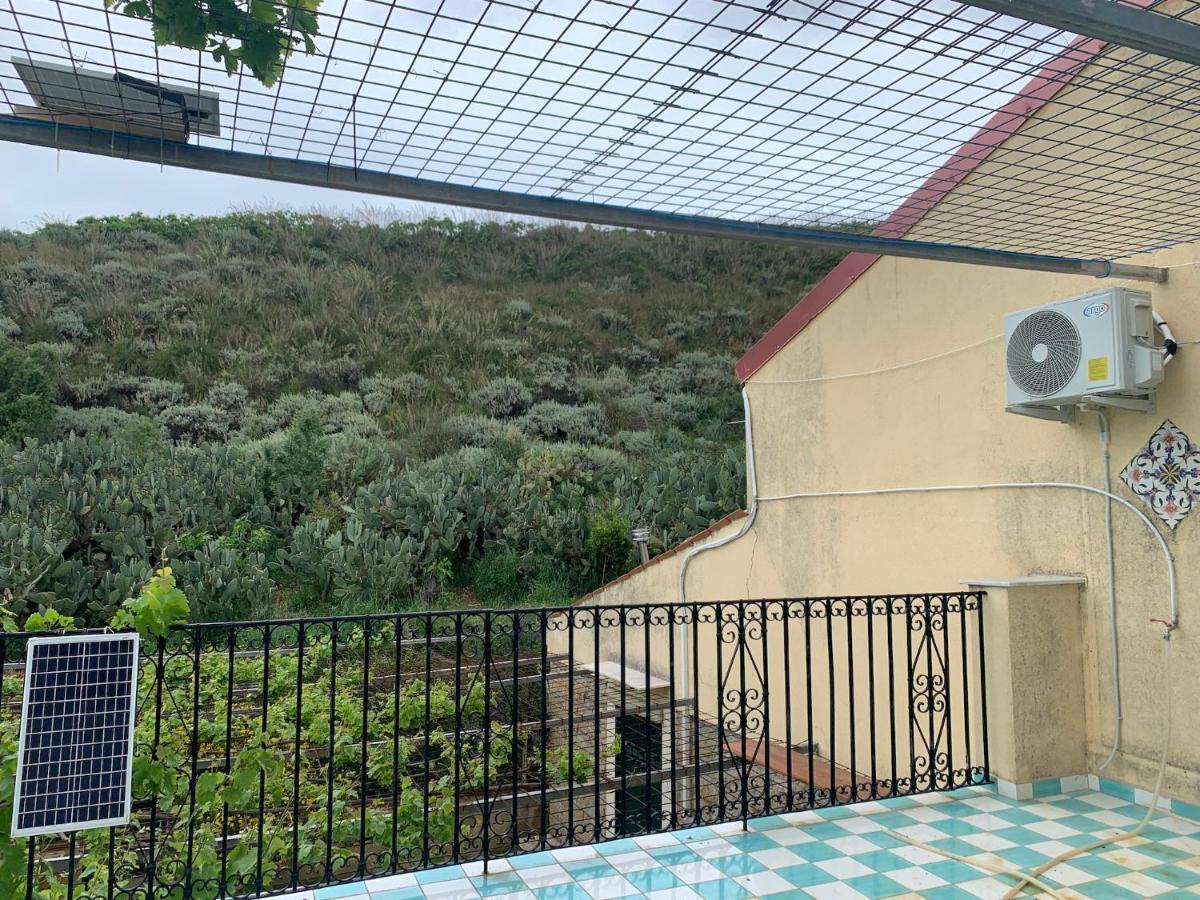 Azienda agricola La Torre - Housity