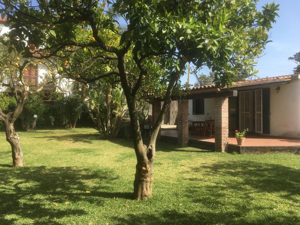 Villa Andrea - Housity
