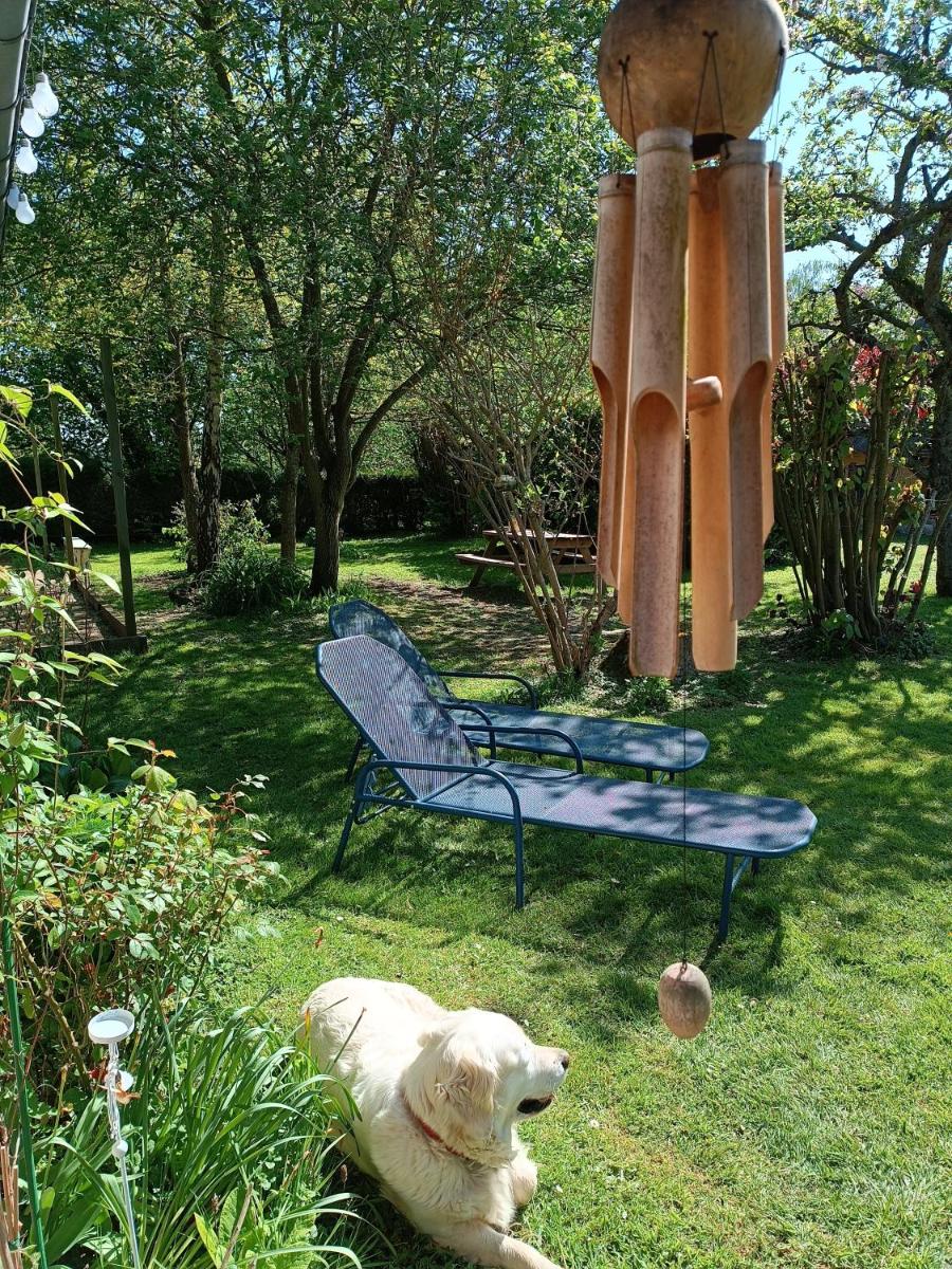 La petite maison - Housity