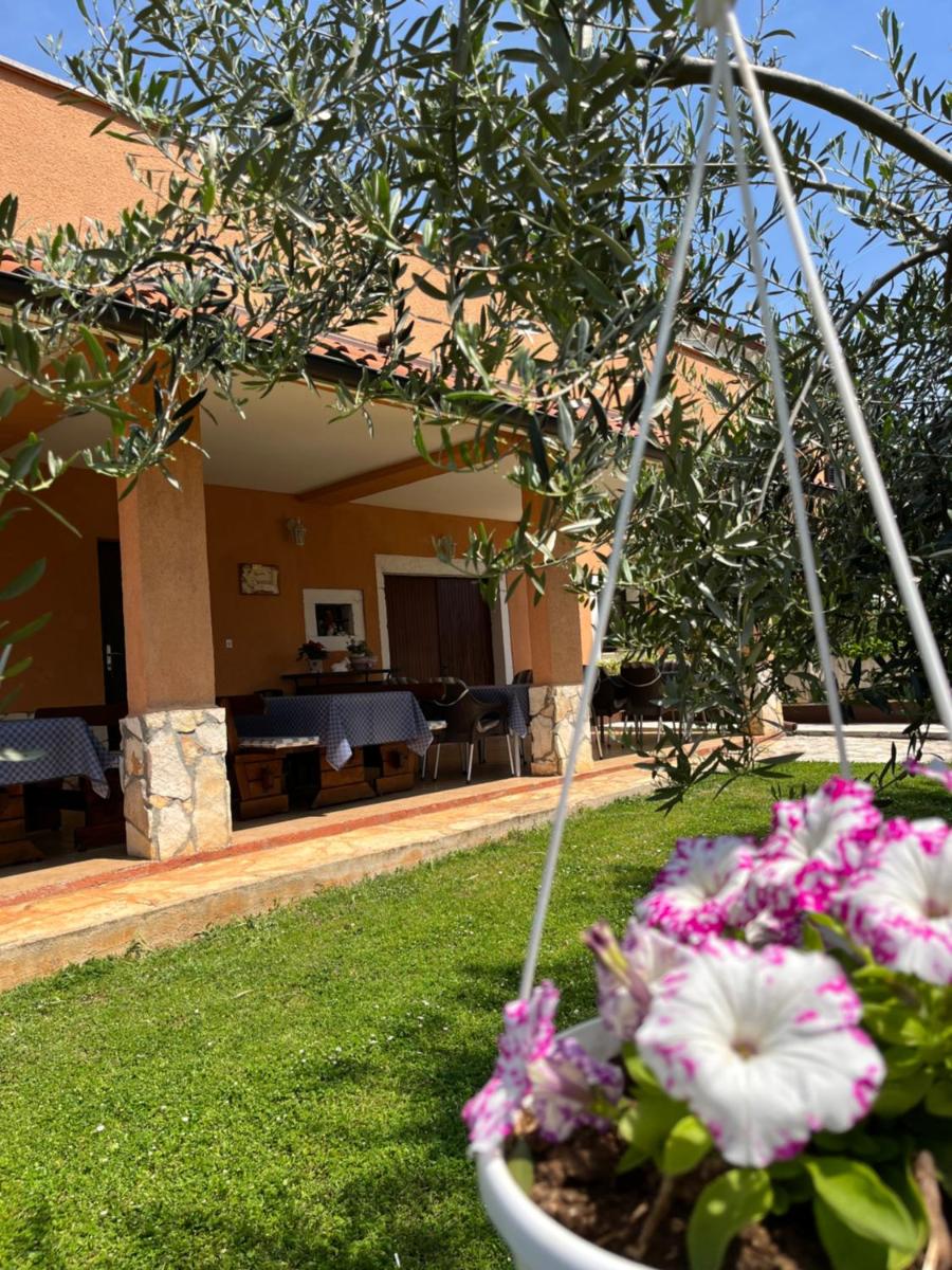 Rooms Danica - Housity