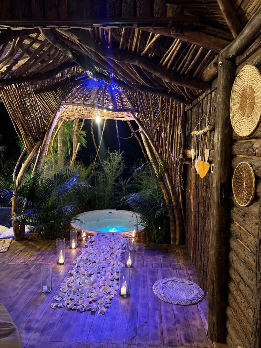 Glamping CAVE - Housity