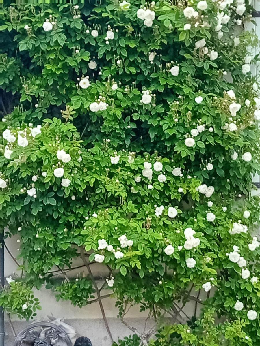 Ode au Bonheur St Georges sur Cher - Housity