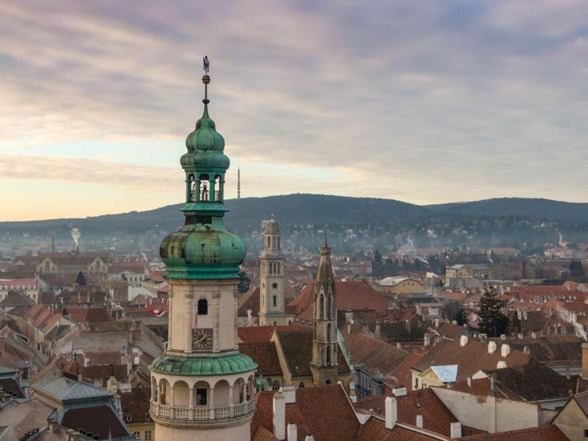 LakeLove Házikó Sopron- Erdő és tópart mellett - Housity