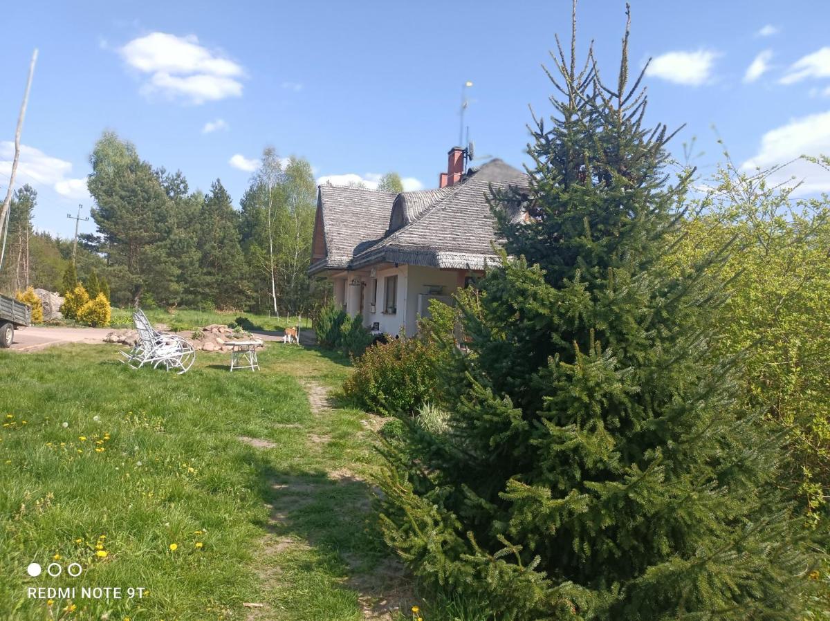 Miód -Malina - Housity