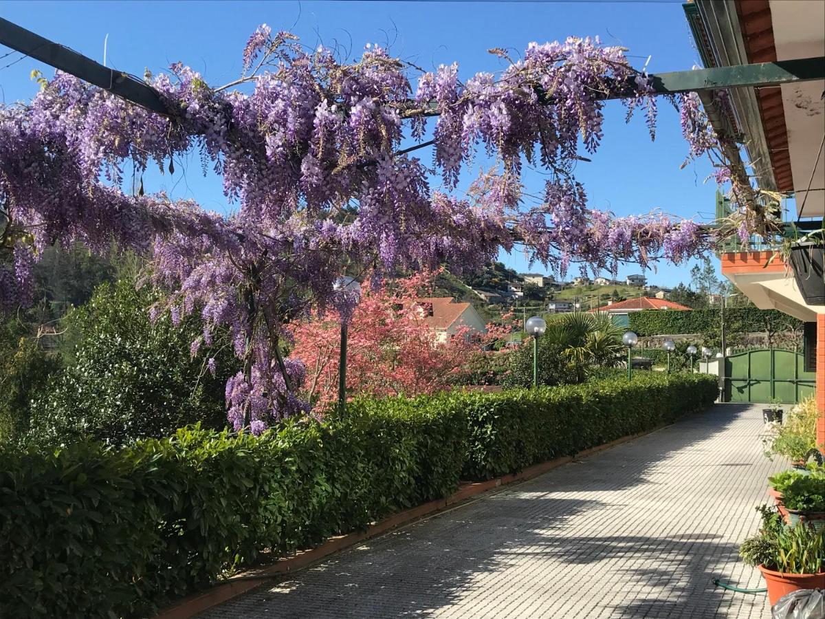 Quinta Altinha - Housity