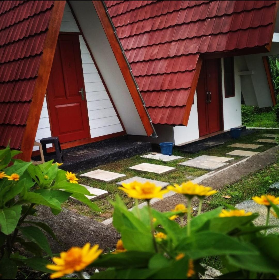 Eazy camp - Housity