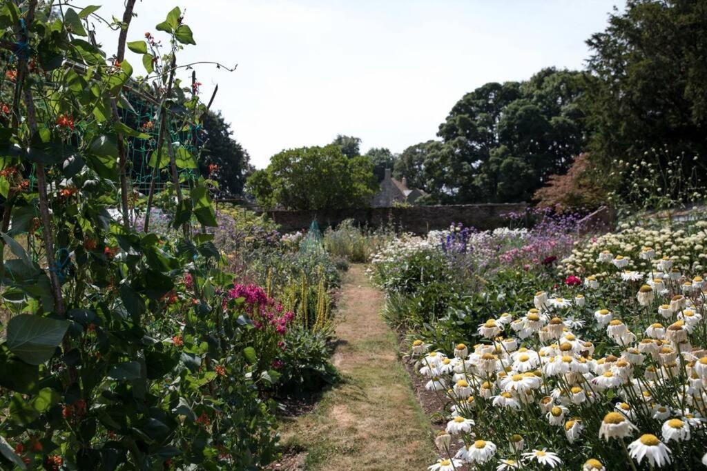 The Butlers Bungalow Beverston Castle - Housity