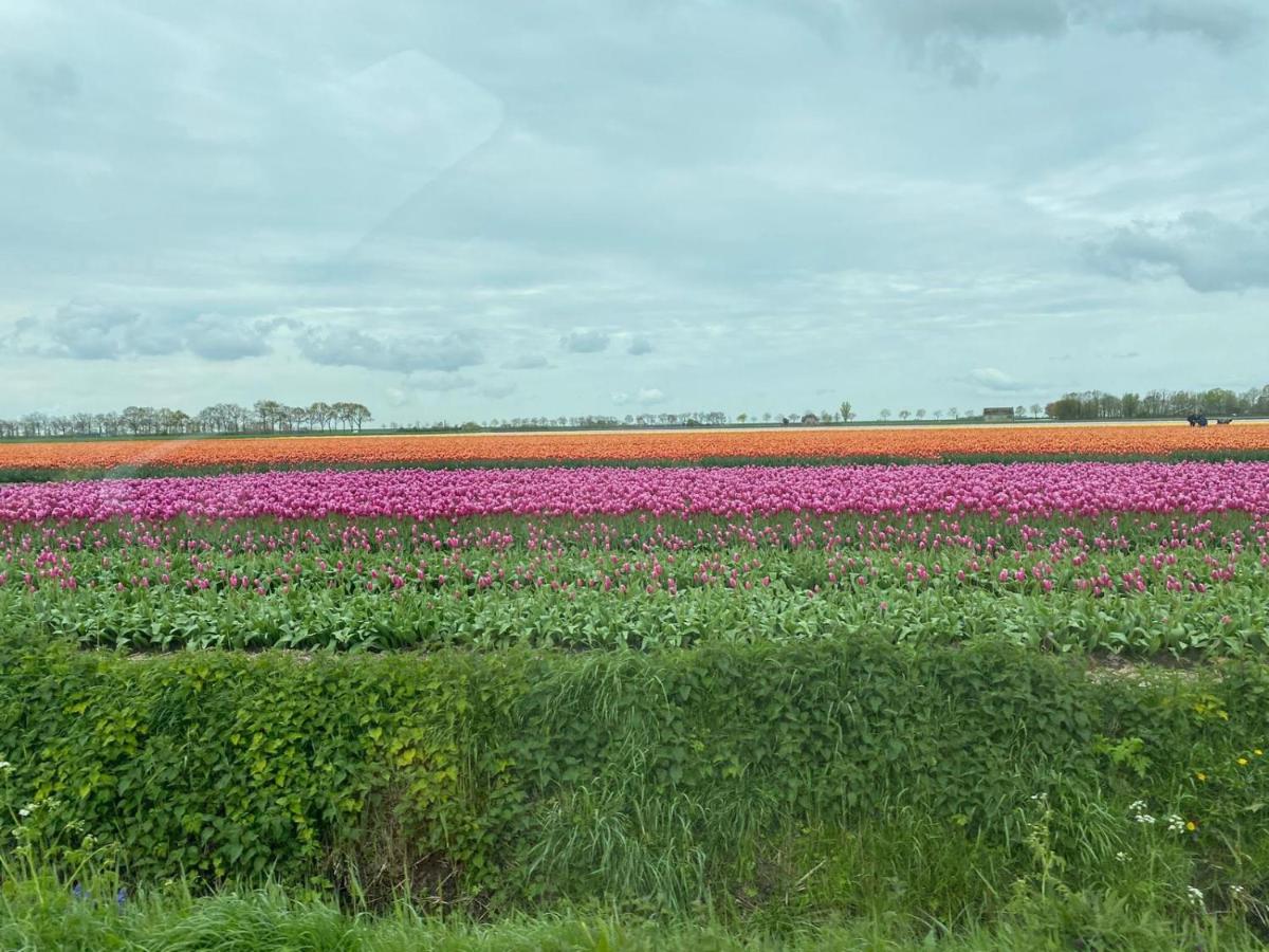 huisje in zeeland helemaal gerenoveerd - Housity