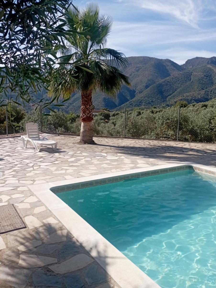 El Cañuelo - Housity