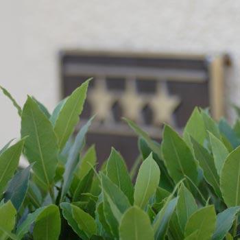 Akzent Hotel Residence Bautzen - Housity
