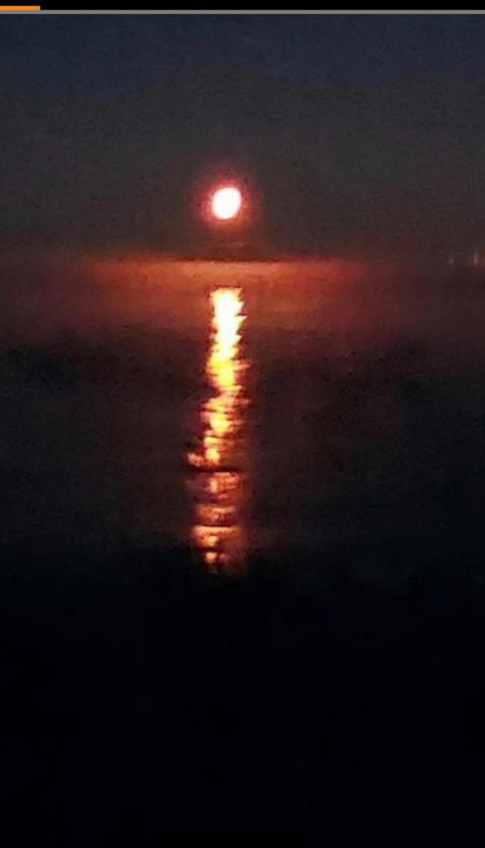 Warm and Cozy on Lake Ontario - Housity