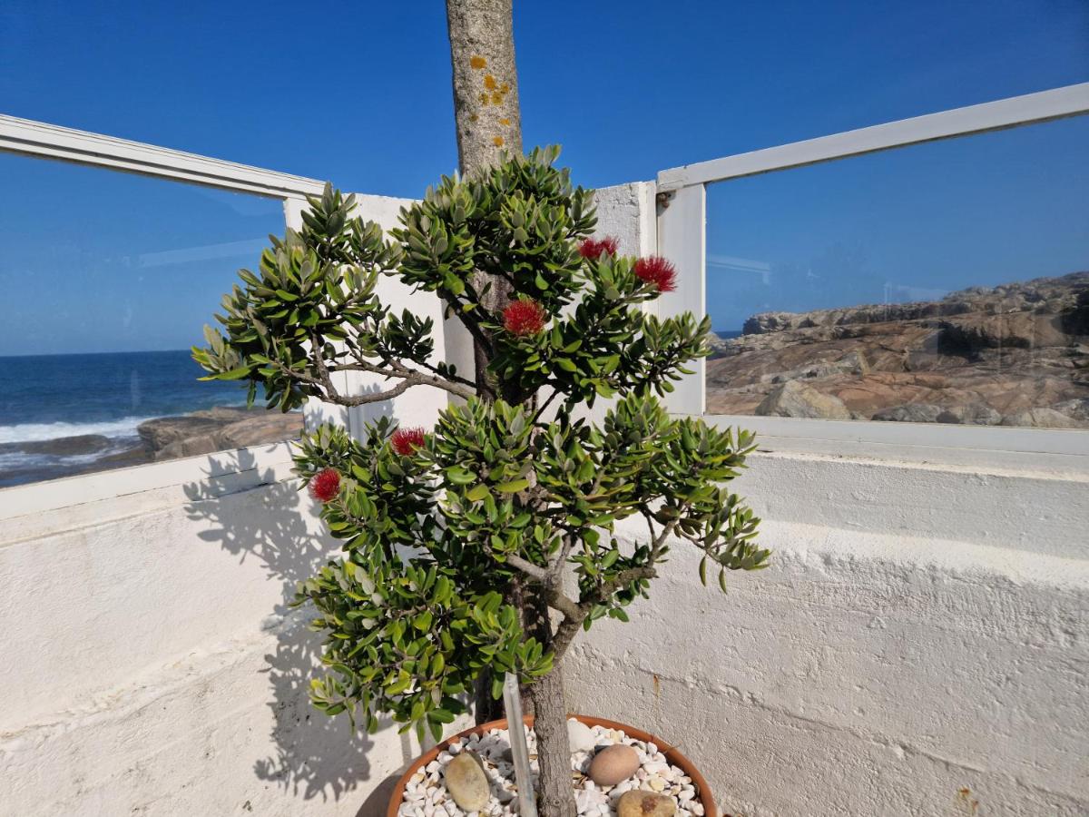 CASA MAR DA LAXE - Housity
