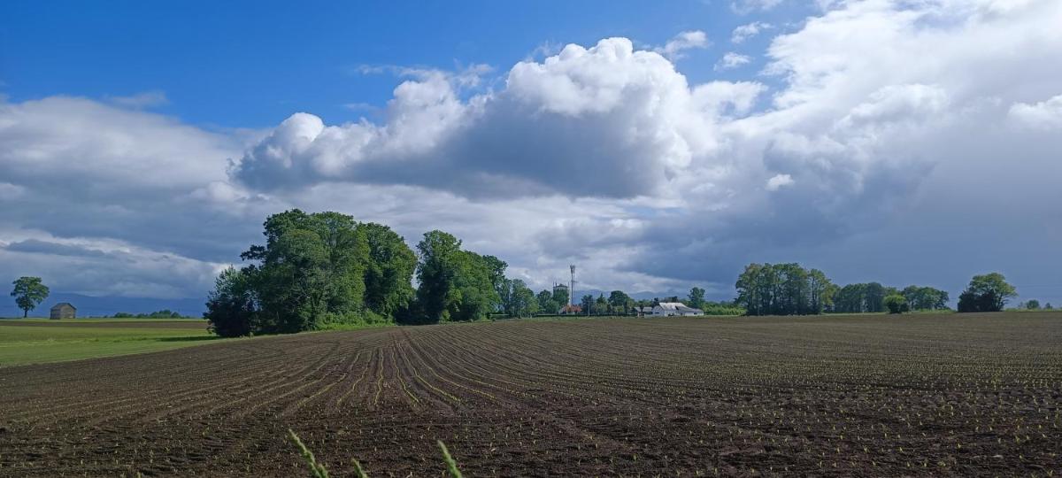 Suitetrails - La maison du Moussu