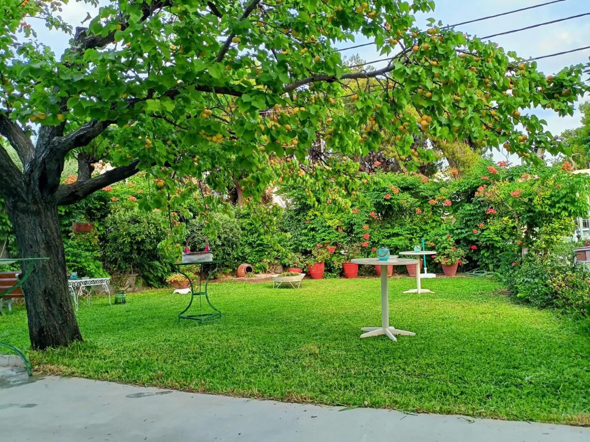 Finikas Rooms - Housity
