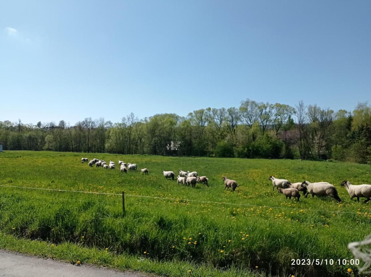 Gospodarstwo Agroturystyczne U Stasików - Housity