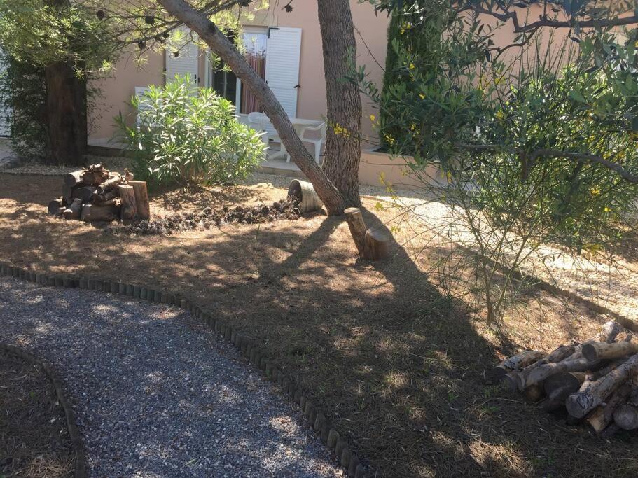 Anduze Gîte Les Lauriers au 