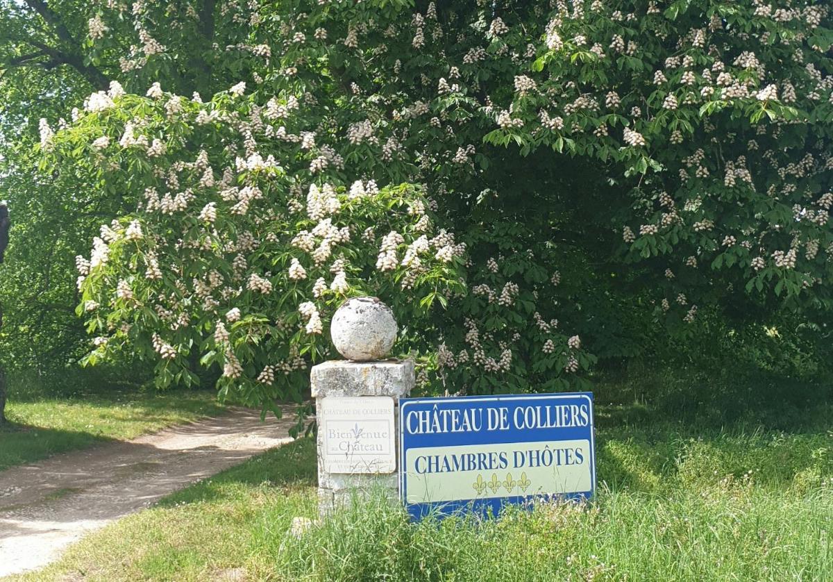 Château de Colliers - Housity