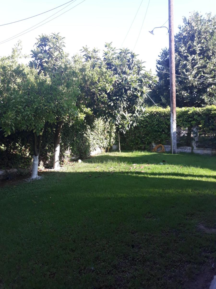Villa Anesis-Παραθαλάσσια βίλα - Housity