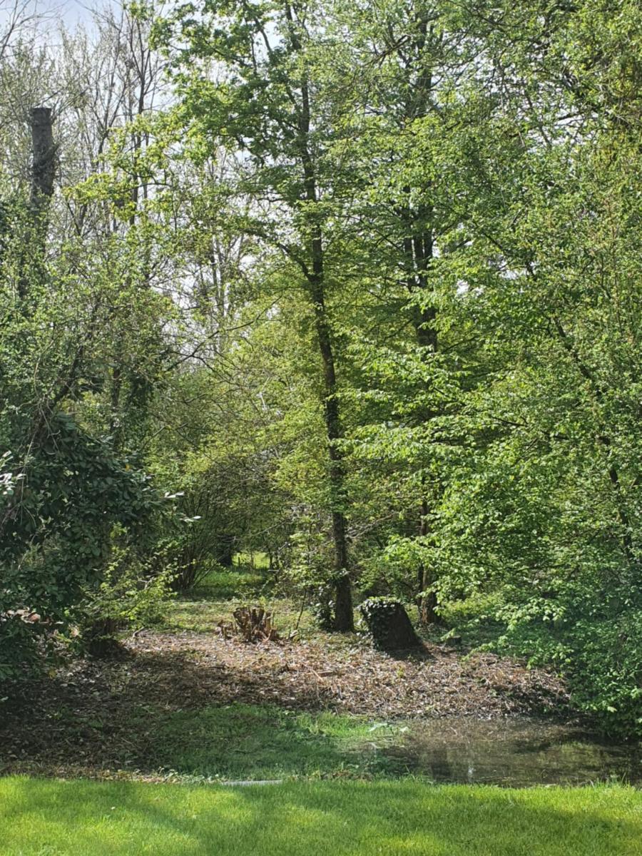 Suitetrails - Chambre 15 m2 avec sdb privative