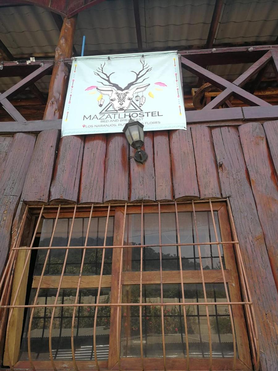 LA CABAÑA DEL MAZATL HOSTEL B&B - Housity
