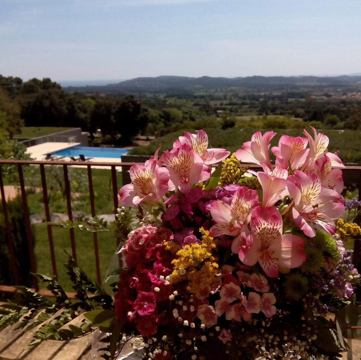 Paisaje cerca de este hotel