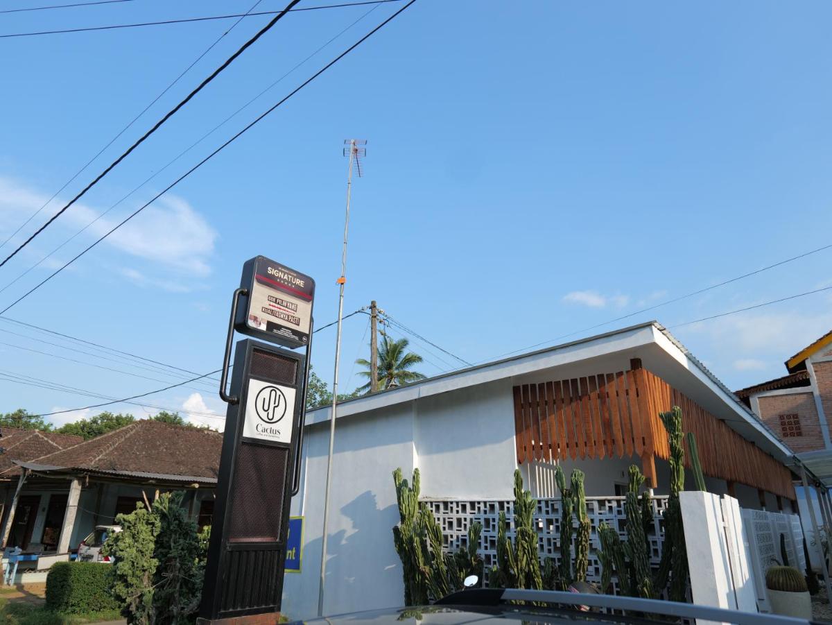 Cactus Guest House Borobudur - Housity