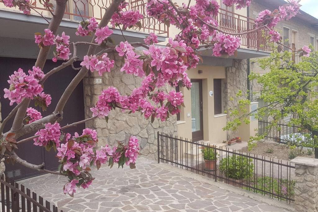 La Casina di Nonna Giulia - Housity