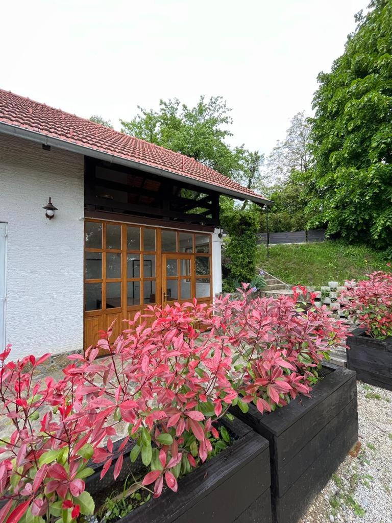 Cesargradska klet - Housity