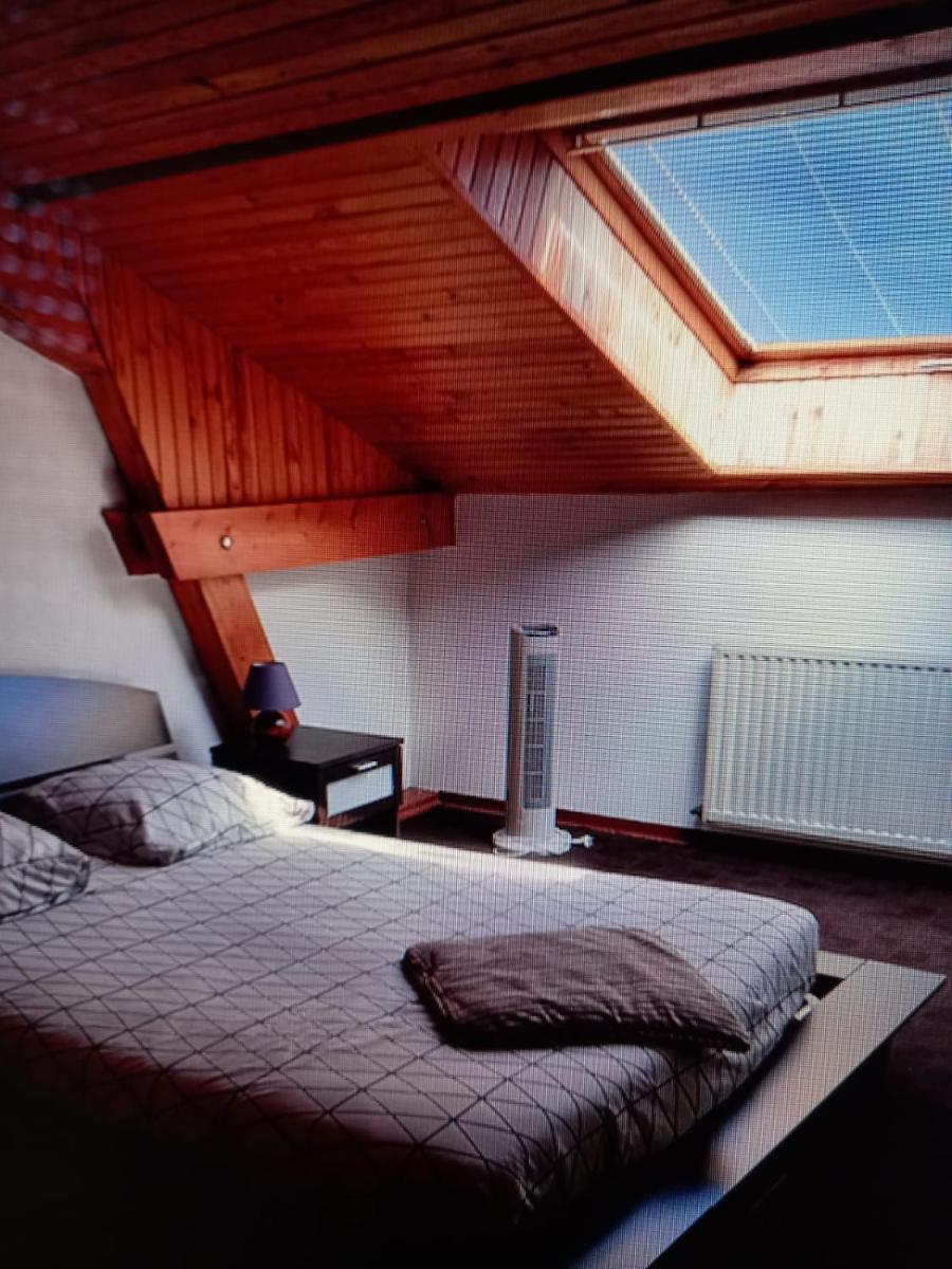 Les appartements du Lion de Belfort - Housity
