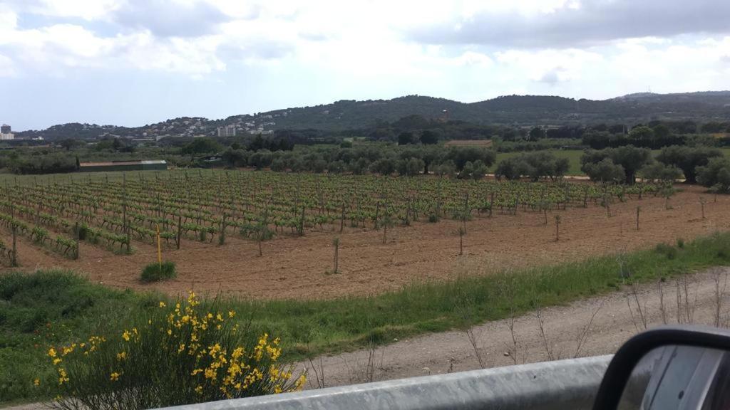 Paisaje cerca de este hotel