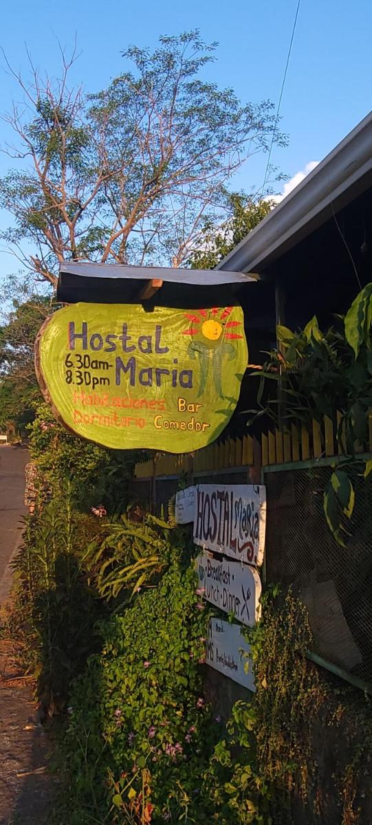Hostal Maria - Housity