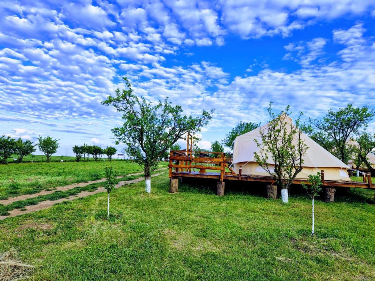 Glamping Livada cu lavanda - Housity