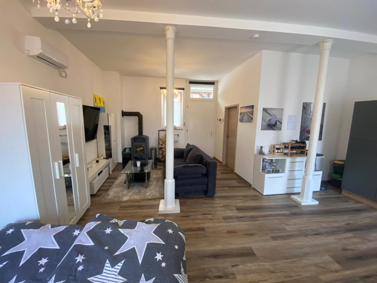 Schöne kleine Einraumwohnung mit Küche und Kamin in Holzthaleben - Housity