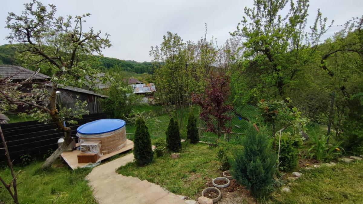 Casa Zestrea Bunicii - Housity