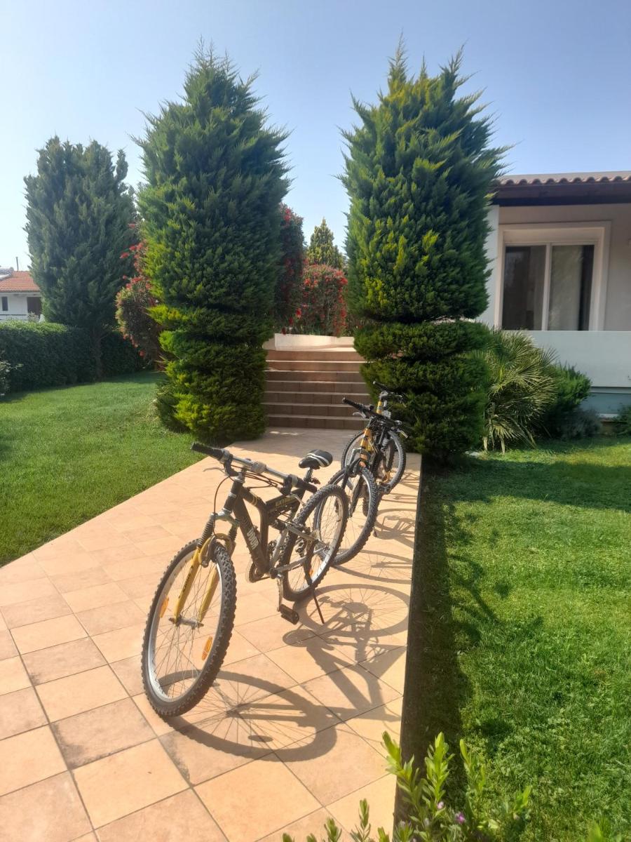 Beautiful Summer Villa in Chalkoutsi - Housity