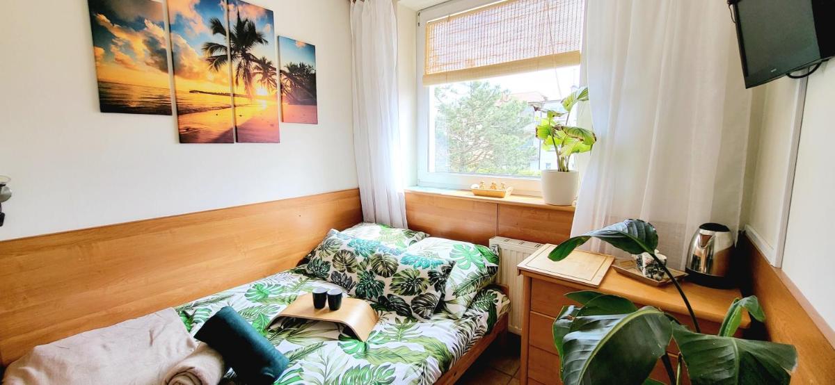 Kokosek Pokoje Gościnne - Housity
