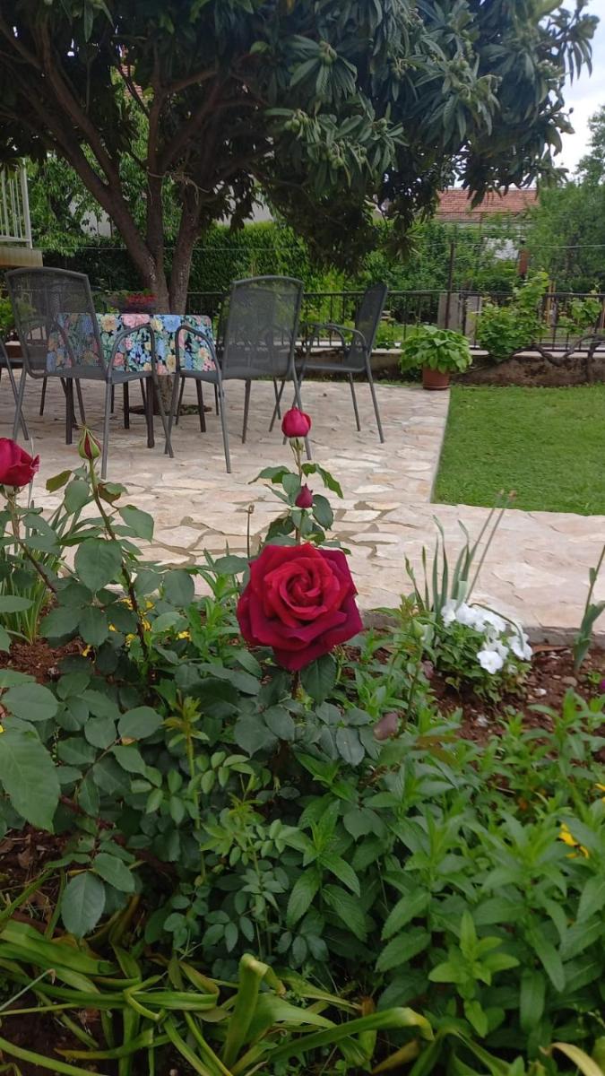 Villa Vinka - Housity