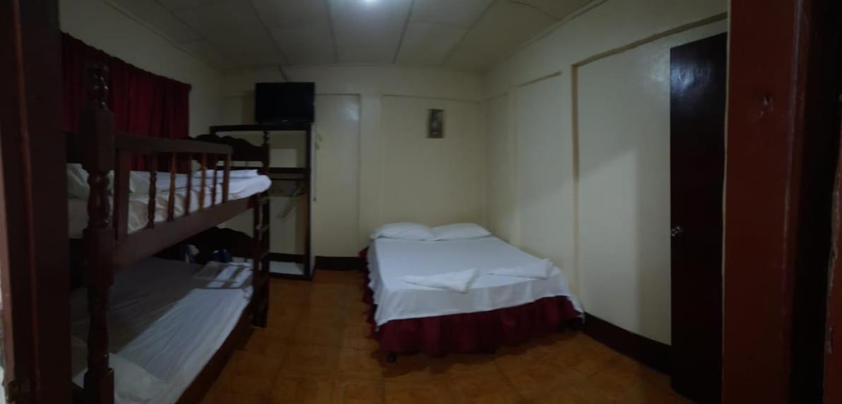 Tropical Dreams Hostel - Housity