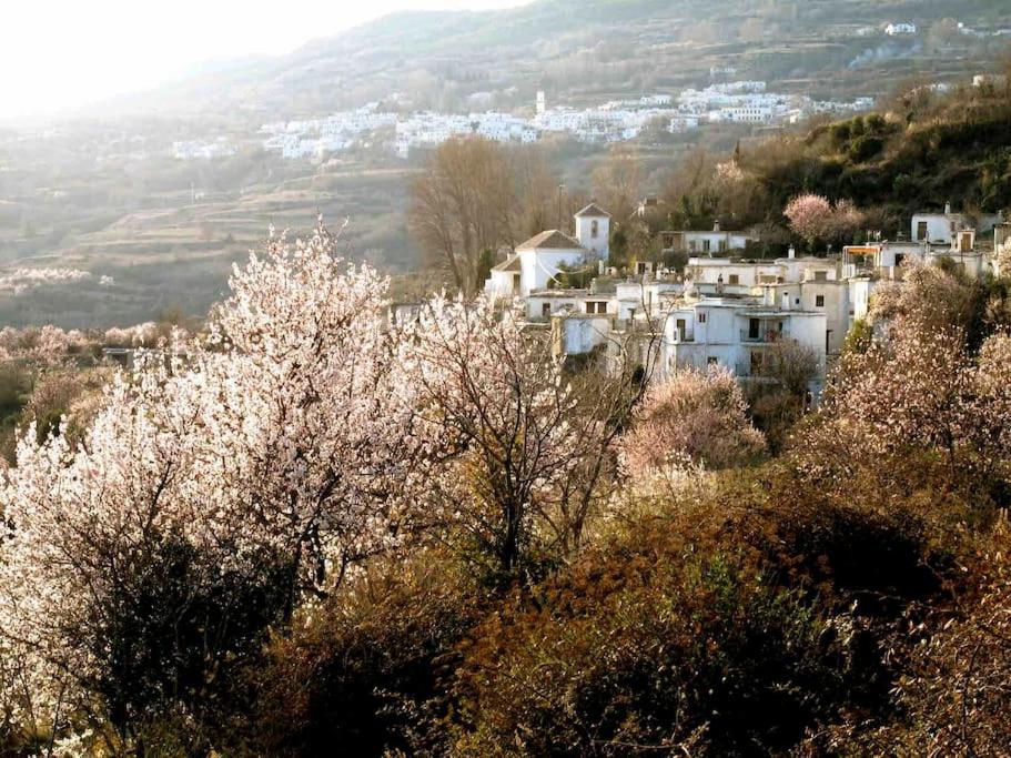 Casa Carmela, rural house with spectacular views, in an exquisite area - Housity