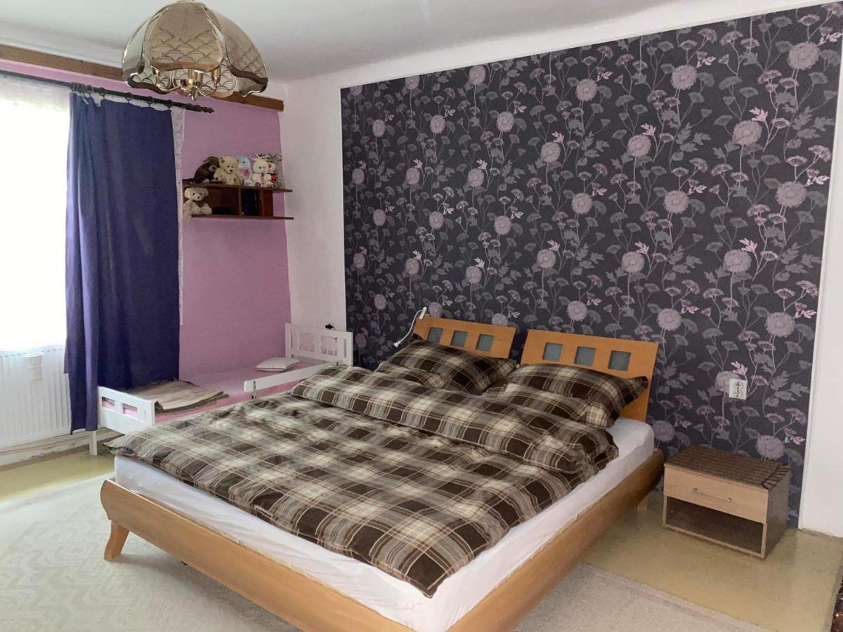 Guya Adventure - Housity