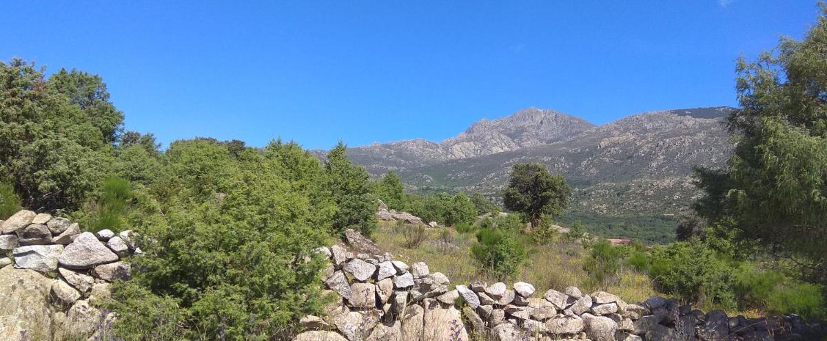Acogedora casa rural en la sierra de Madrid - Housity