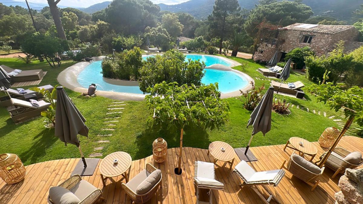 Piscine de l'établissement Hôtel Ambassador Palombaggia ou située à proximité
